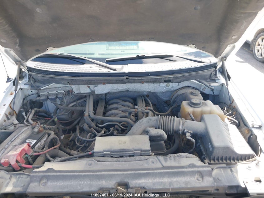 2013 Ford F150 VIN: 1FTNF1CF7DKD66719 Lot: 11897457