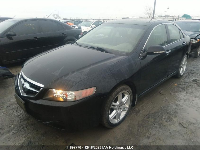 2005 Acura Tsx VIN: JH4CL96865C802174 Lot: 11897770