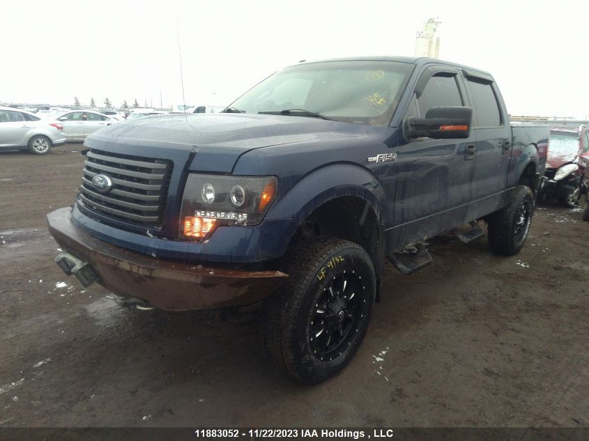 2010 Ford F-150 Xlt/Fx4/Lariat VIN: 1FTFW1EV1AFD21319 Lot: 11883052X