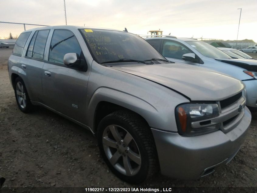 2007 Chevrolet Trailblazer Ss VIN: 1GNET13H972139635 Lot: 11902217