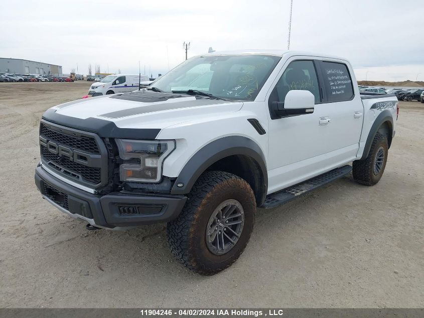 2019 Ford F-150 Raptor VIN: 1FTFW1RG9KFB01746 Lot: 11904246