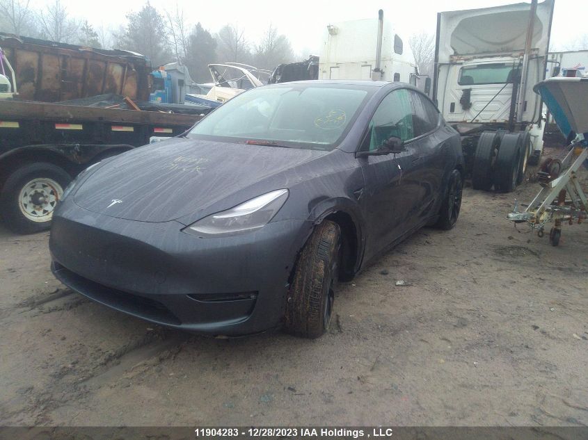 2022 Tesla Model Y VIN: 7SAYGDEF3NF517890 Lot: 11904283