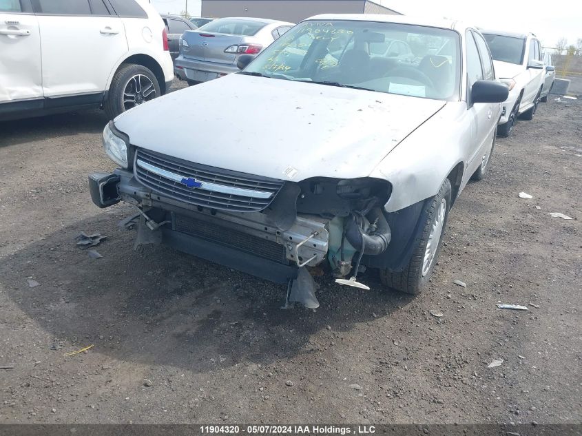 2002 Chevrolet Malibu VIN: 1G1ND52J02M571635 Lot: 11904320