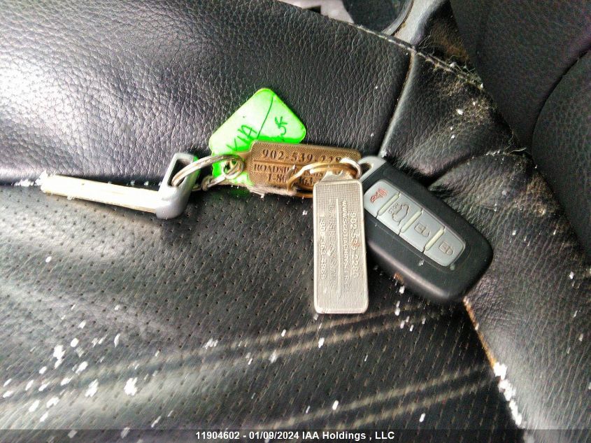 2013 Kia Sorento VIN: 5XYKUDA26DG362466 Lot: 11904602