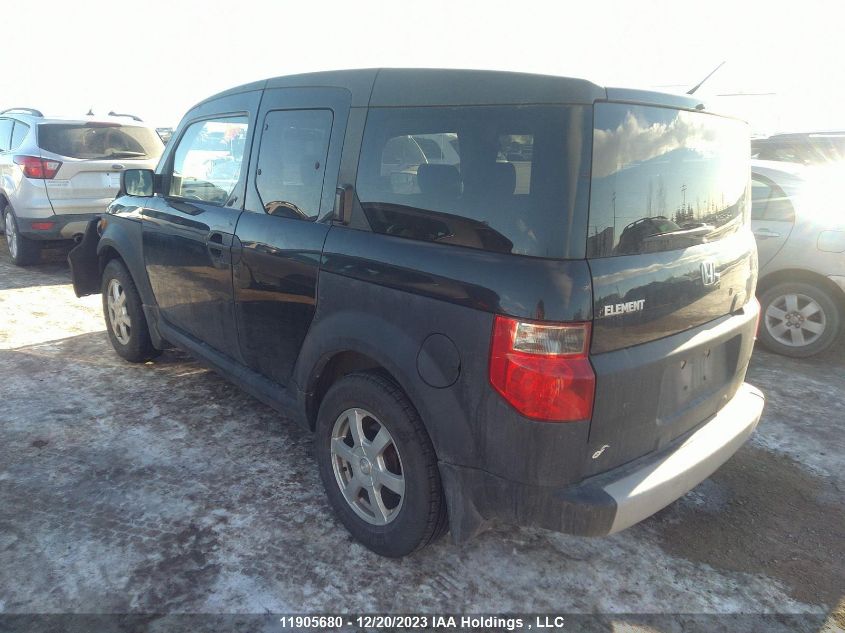 2006 Honda Element VIN: 5J6YH18236L800977 Lot: 11905680