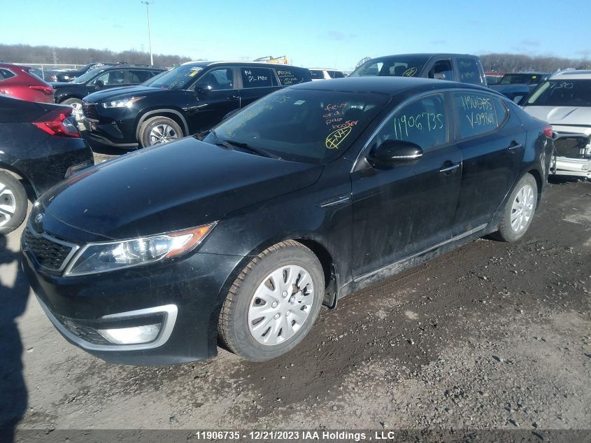 2012 Kia Optima VIN: KNAGM4ADXC5019848 Lot: 11906735