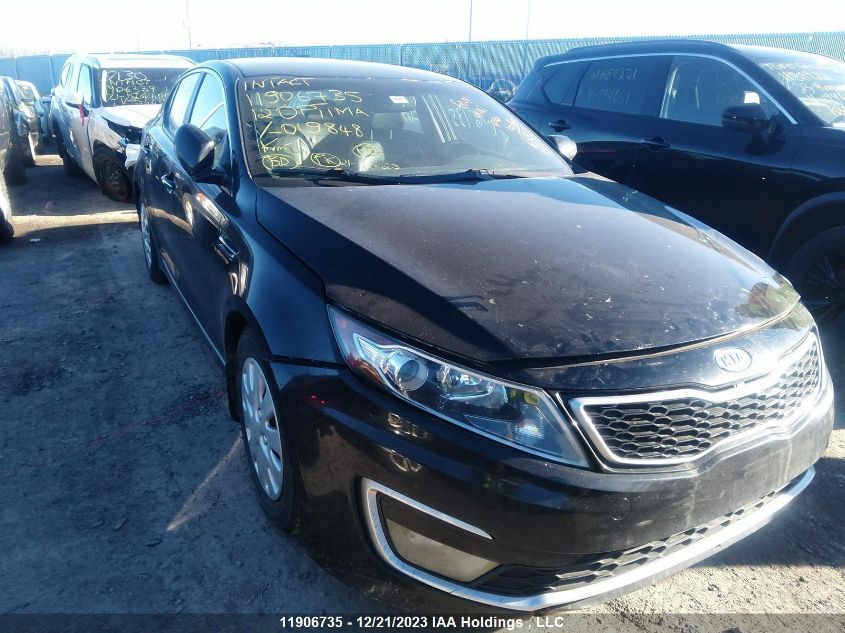 2012 Kia Optima VIN: KNAGM4ADXC5019848 Lot: 11906735