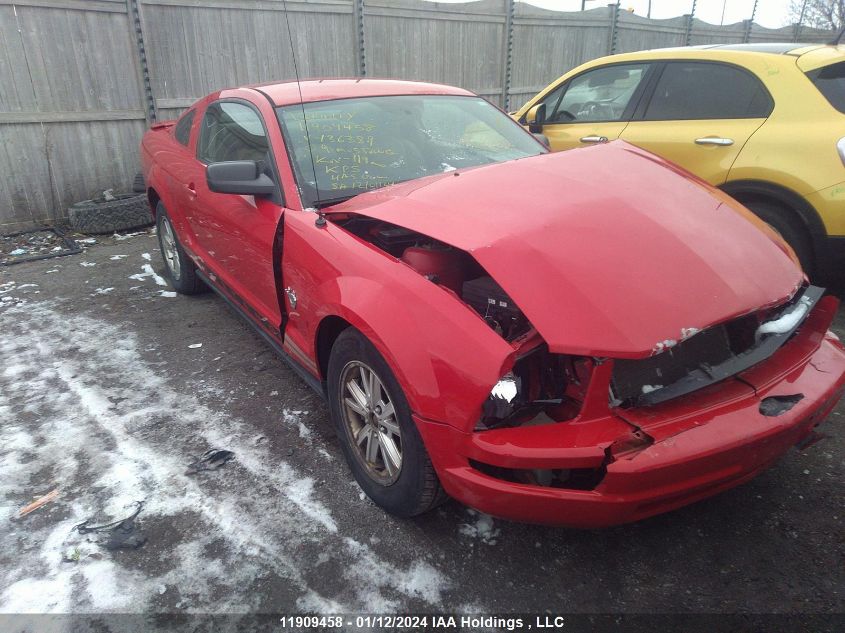 2009 Ford Mustang VIN: 1ZVHT80N695136389 Lot: 11909458