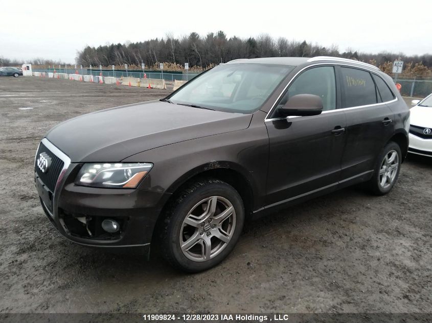 2012 Audi Q5 Premium Plus VIN: WA1LFCFP9CA102536 Lot: 11909824