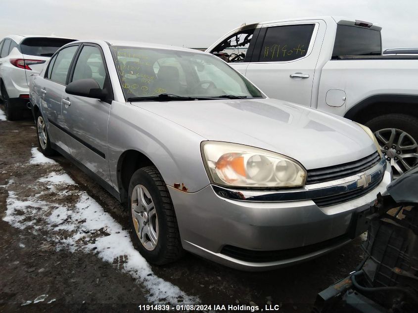 2004 Chevrolet Malibu VIN: 1G1ZS52F74F243168 Lot: 45597324