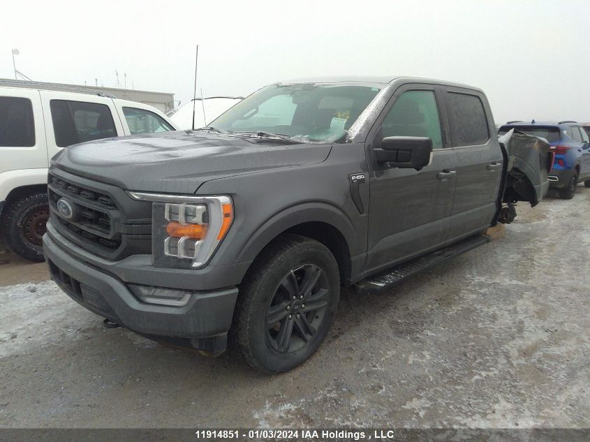 2023 Ford F-150 VIN: 1FTFW1E83PKD38343 Lot: 11914851