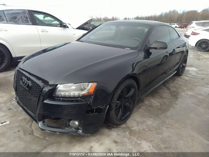 2010 Audi A5 Prestige VIN: WAUDKBFR2AA003620 Lot: 11915117