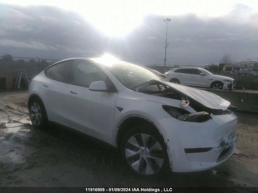 2021 Tesla Model Y VIN: 5YJYGDED2MF120391 Lot: 11916909