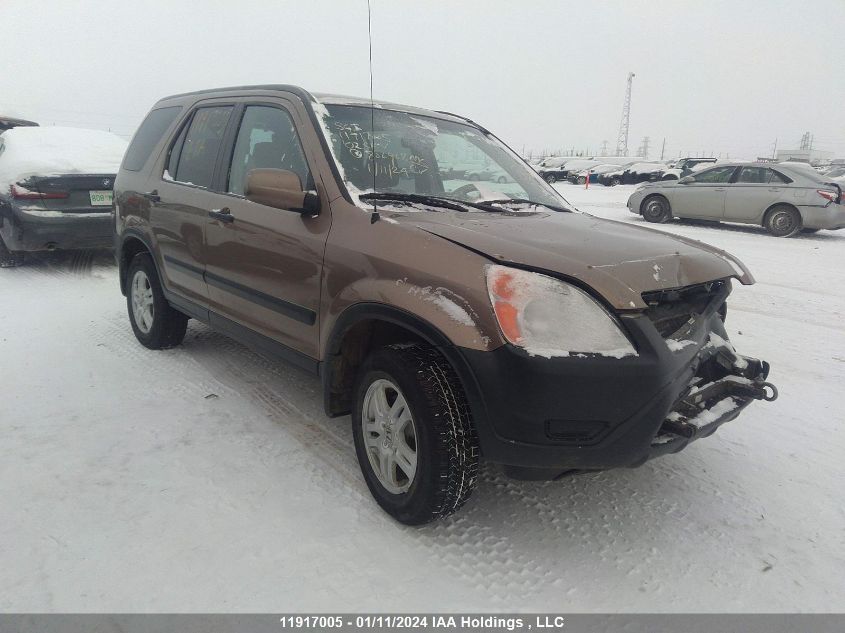 2002 Honda Cr-V VIN: JHLRD78802C806908 Lot: 11917005