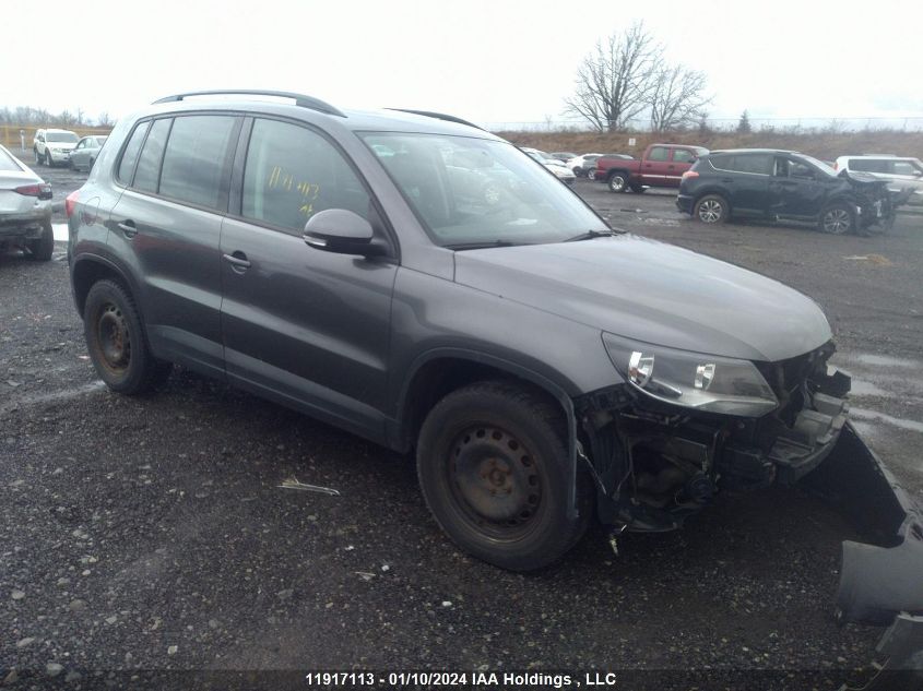 WVGJV3AX9DW612148 2013 Volkswagen Tiguan