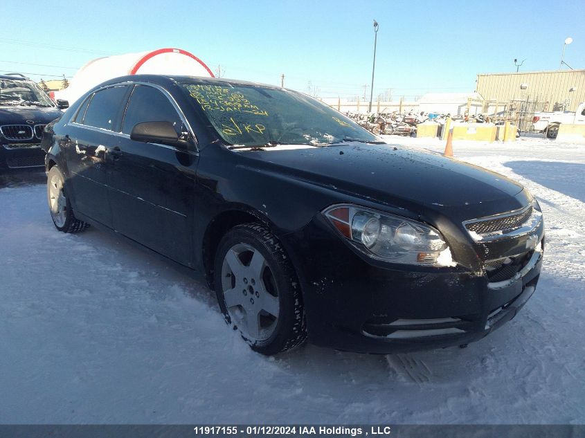 2012 Chevrolet Malibu VIN: 1G1ZB5EU1CF126999 Lot: 11917155