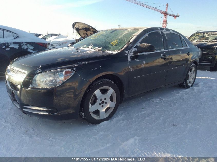 2012 Chevrolet Malibu VIN: 1G1ZB5EU1CF126999 Lot: 11917155