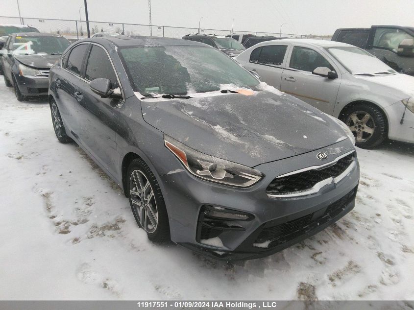 2020 Kia Forte VIN: 3KPF54AD0LE163022 Lot: 11917551