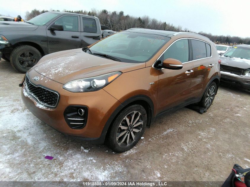 2017 Kia Sportage VIN: KNDPNCACXH7057514 Lot: 11918808