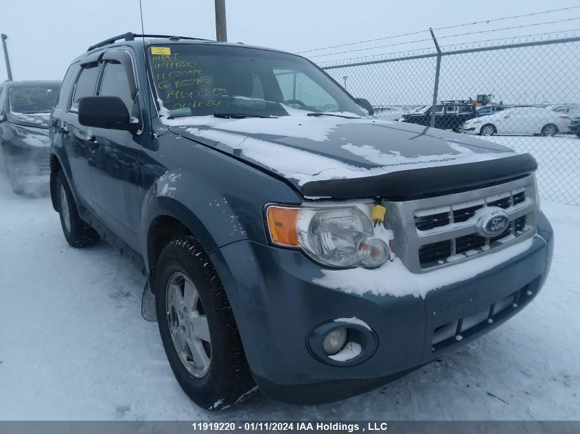 2011 Ford Escape Xlt VIN: 1FMCU0D77BKB55902 Lot: 11919220