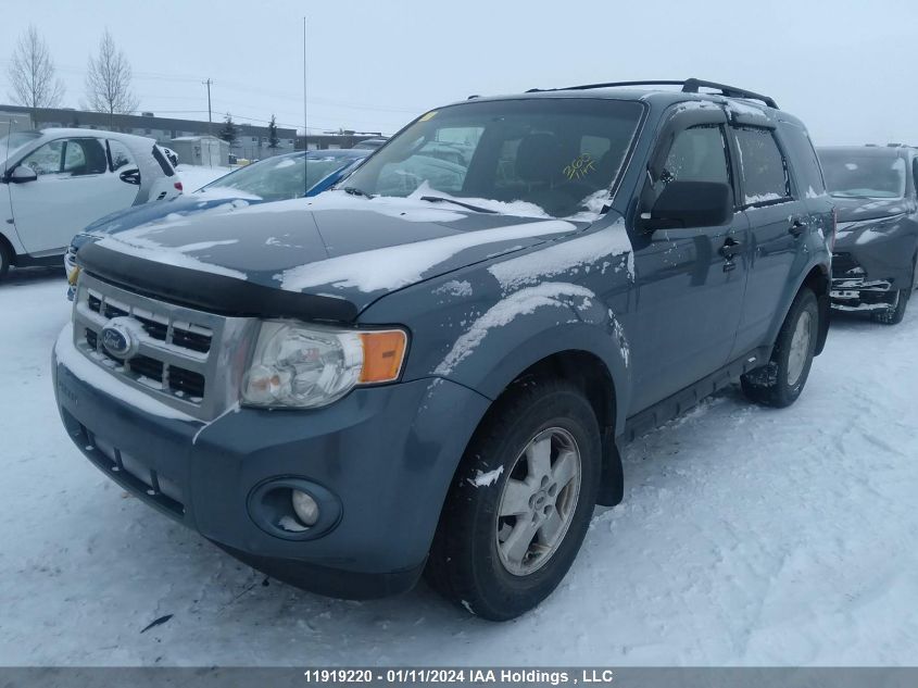 2011 Ford Escape Xlt VIN: 1FMCU0D77BKB55902 Lot: 11919220