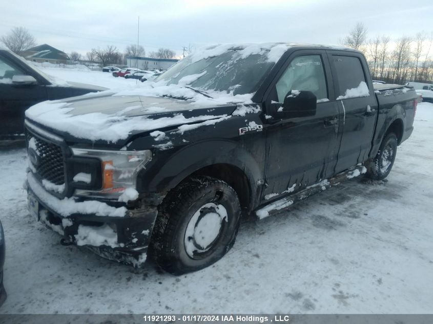 2019 Ford F-150 VIN: 1FTEW1EP7KFC69211 Lot: 39240972