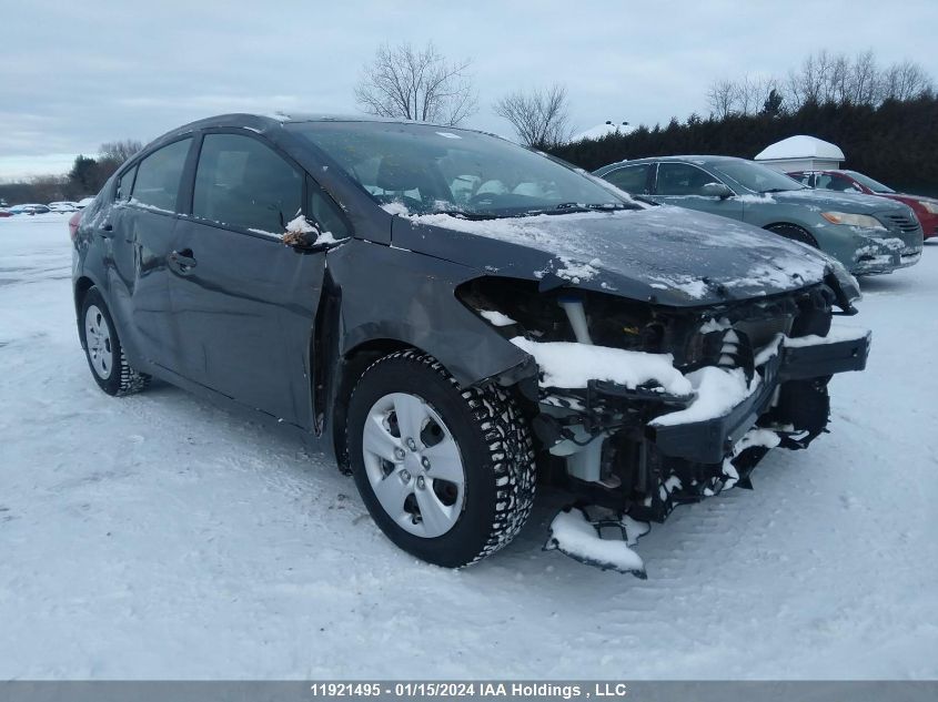 2014 Kia Forte VIN: KNAFK4A69E5080100 Lot: 11921495