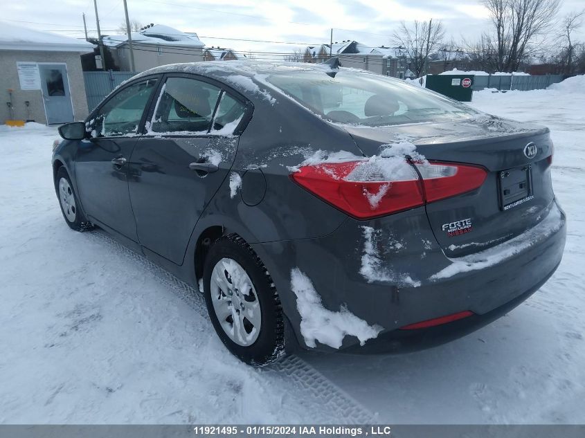 2014 Kia Forte VIN: KNAFK4A69E5080100 Lot: 11921495