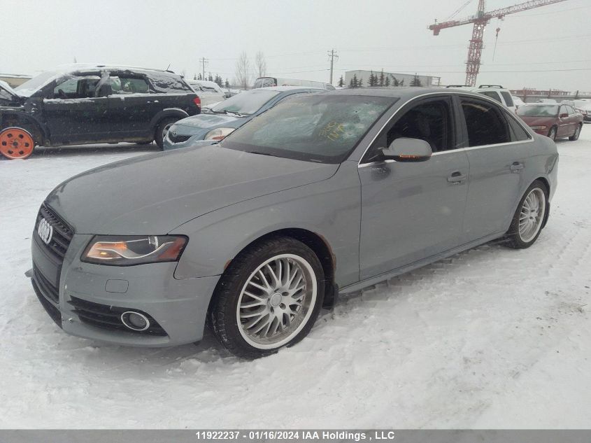 2011 Audi A4 VIN: WAUKFCFL5BN010147 Lot: 11922237