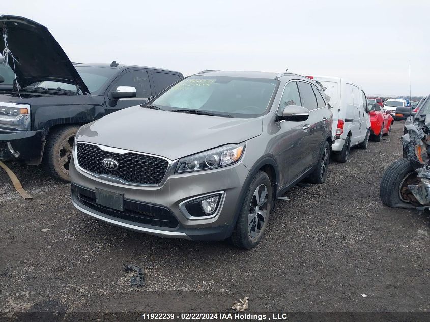 2016 Kia Sorento VIN: 5XYPHDA55GG174451 Lot: 11922239