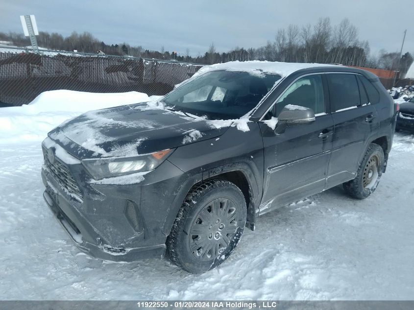 2023 Toyota Rav4 Le VIN: 2T3B1RFV9PC331812 Lot: 51145504