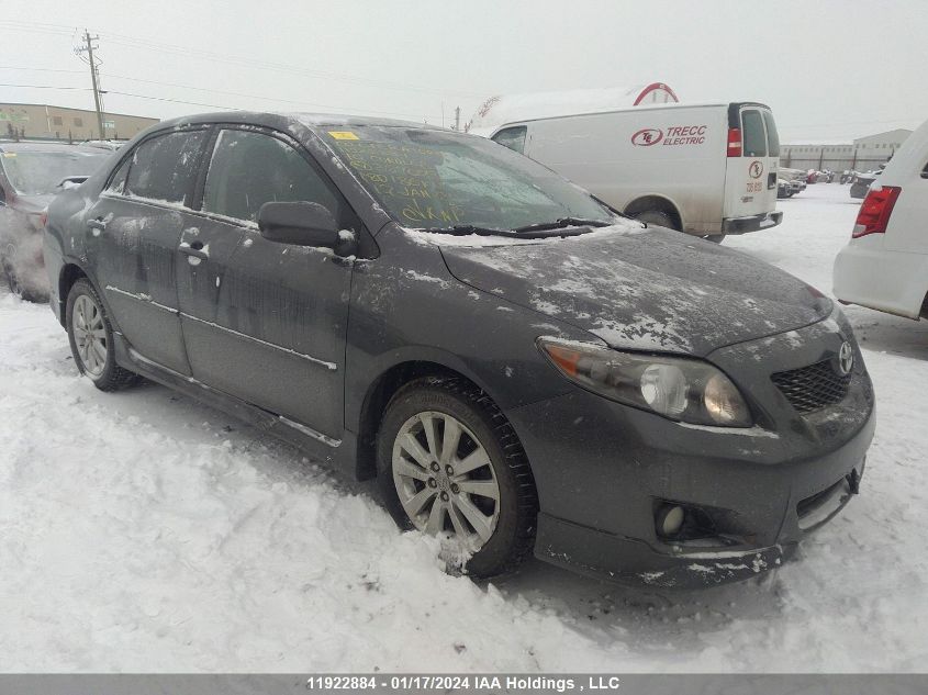 2010 Toyota Corolla S VIN: 2T1BU4EE9AC387003 Lot: 11922884