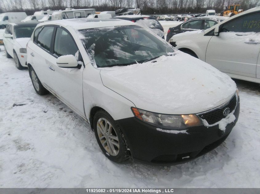 2012 Kia Forte 5-Door VIN: KNAFU5A22C5592484 Lot: 11925082