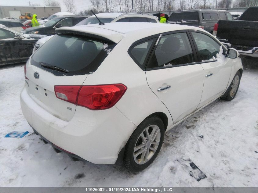 2012 Kia Forte 5-Door VIN: KNAFU5A22C5592484 Lot: 11925082