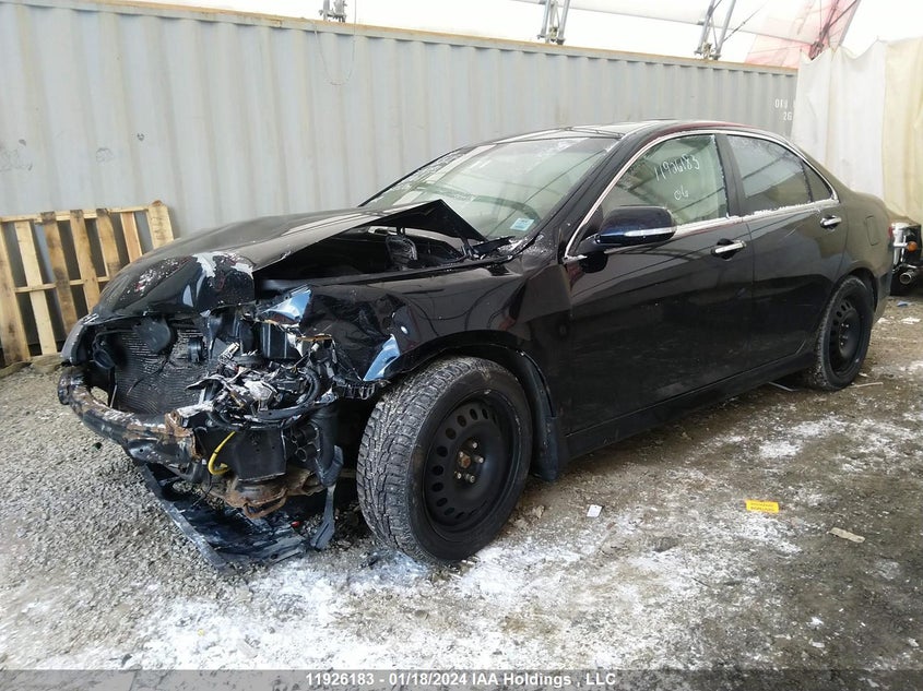 2006 Acura Tsx VIN: JH4CL95846C801687 Lot: 11926183