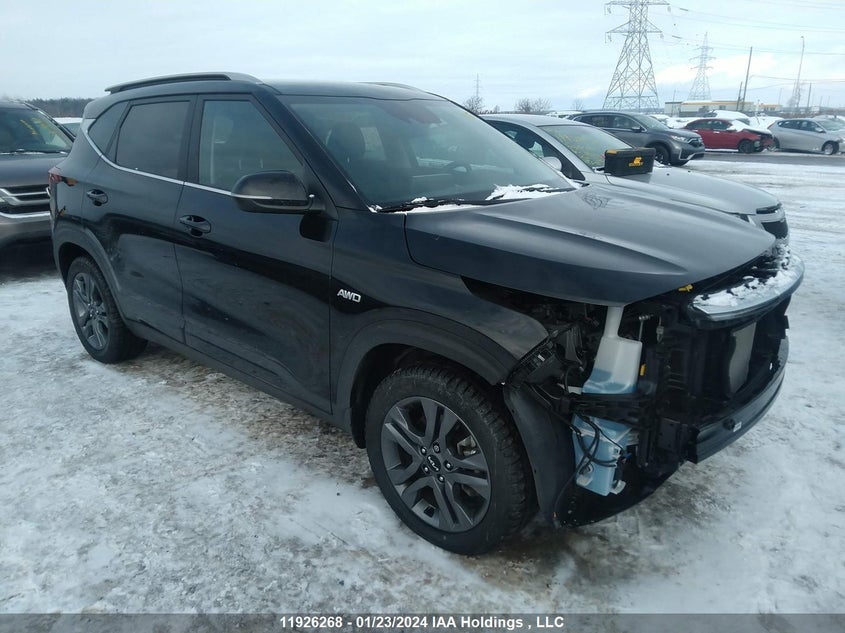 2023 Kia Seltos VIN: KNDEUCAA9P7376555 Lot: 11926268