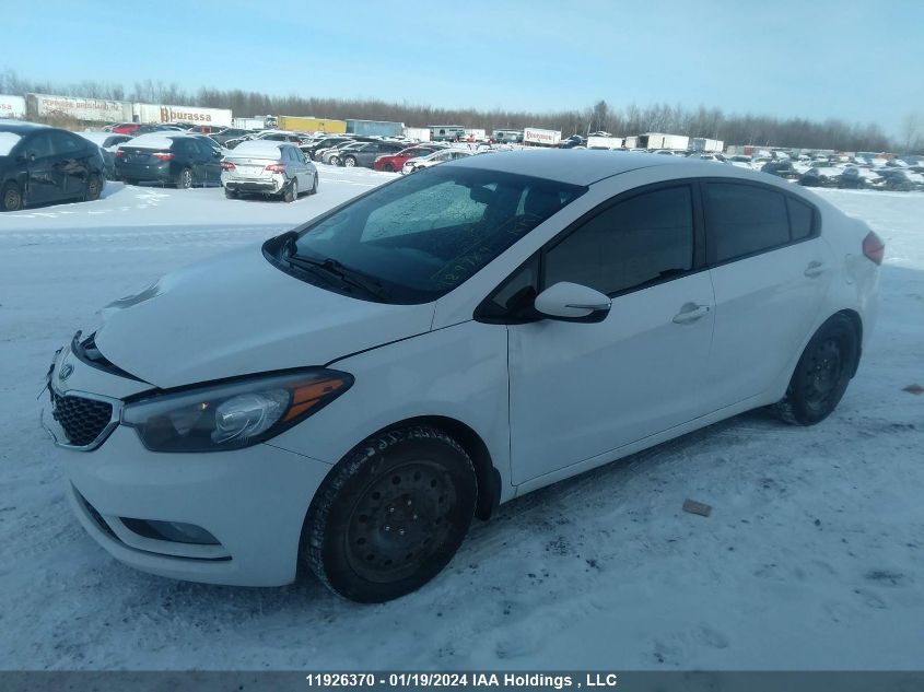 2014 Kia Forte VIN: KNAFX4A60E5253553 Lot: 11926370