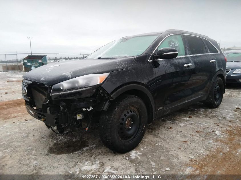 2020 Kia Sorento VIN: 5XYPHDA54LG655169 Lot: 11927267