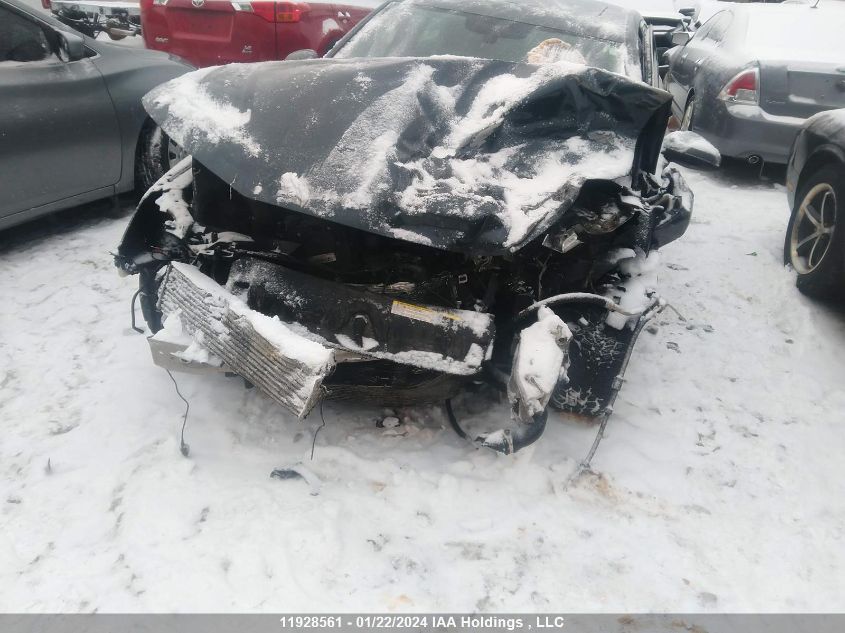 2017 Audi A4 VIN: WAUCNAF40HN051637 Lot: 11928561