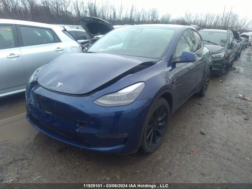 2022 Tesla Model Y VIN: 7SAYGDEE3NF514804 Lot: 11929101