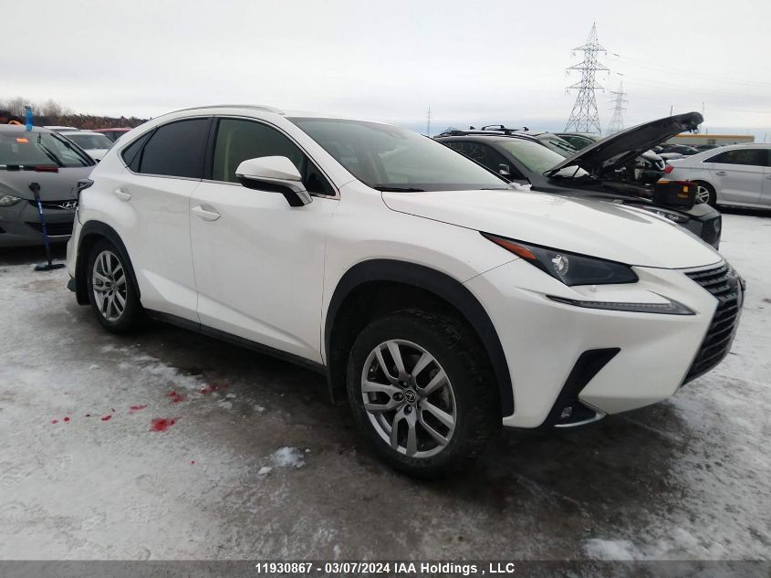 2021 Lexus Nx 300 VIN: JTJGARDZ6M5028058 Lot: 39242206