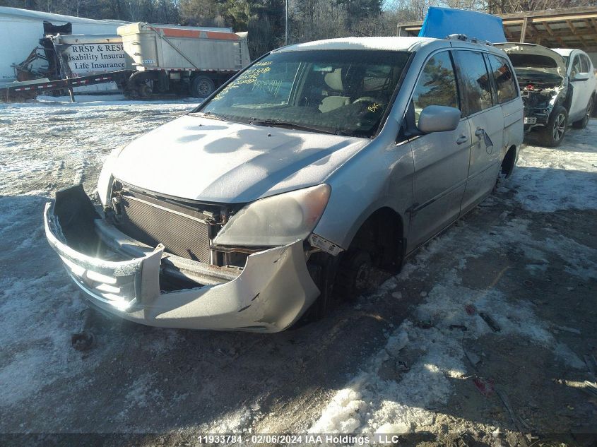 2008 Honda Odyssey VIN: 5FNRL38488B507782 Lot: 11933784