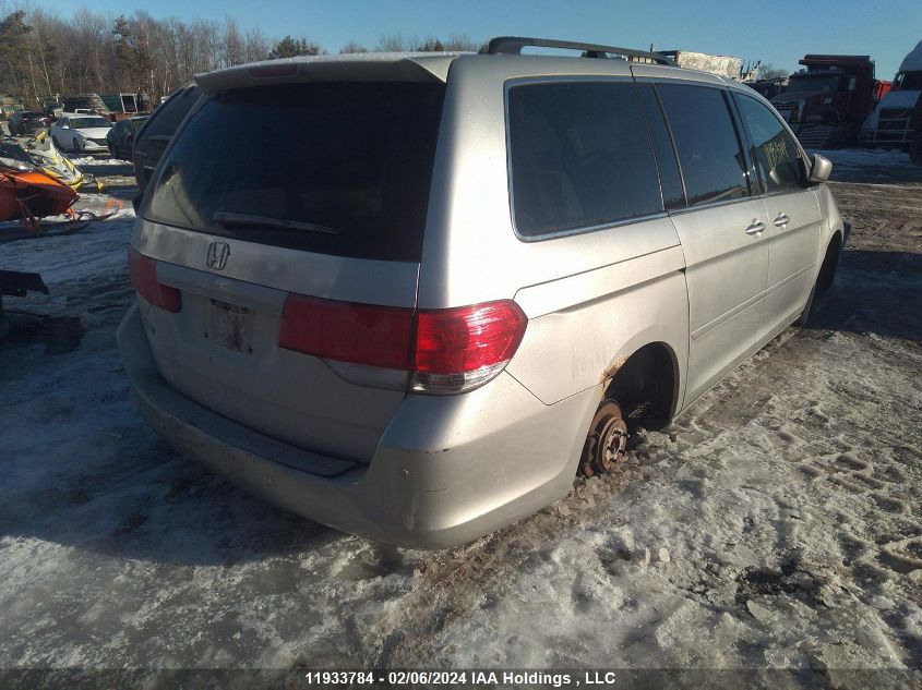 2008 Honda Odyssey VIN: 5FNRL38488B507782 Lot: 11933784