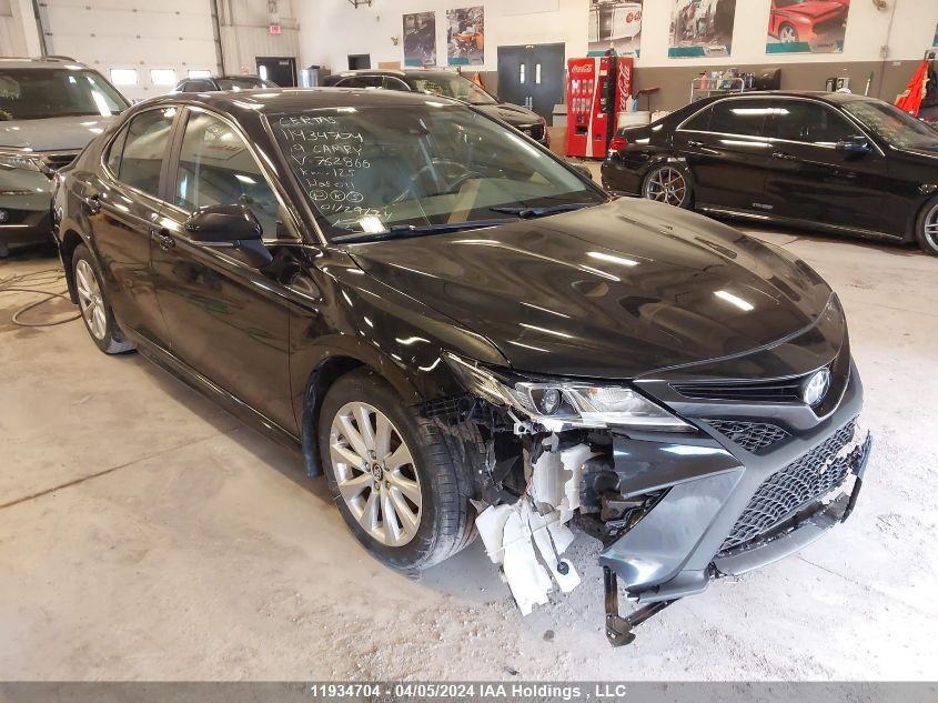 2019 Toyota Camry L/Le/Xle/Se/Xse VIN: 4T1B11HK0KU762866 Lot: 11934704