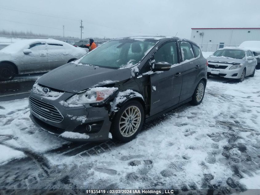 2013 Ford C-Max Sel VIN: 1FADP5BU5DL524099 Lot: 11935419