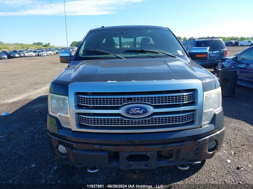 2010 Ford F-150 VIN: 1FTFW1EV0AFC41171 Lot: 11937881