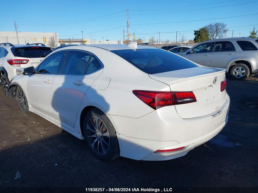 2015 Acura Tlx VIN: 19UUB1F51FA800363 Lot: 11938257