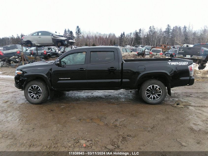 2023 Toyota Tacoma VIN: 3TYDZ5BN4PT024259 Lot: 11938945