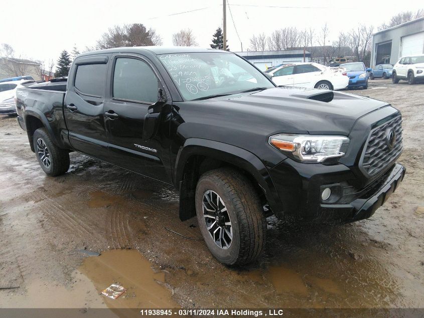 2023 Toyota Tacoma VIN: 3TYDZ5BN4PT024259 Lot: 11938945