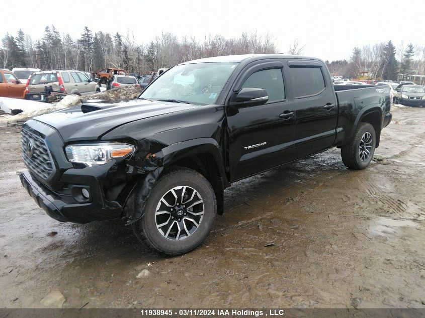 2023 Toyota Tacoma VIN: 3TYDZ5BN4PT024259 Lot: 11938945